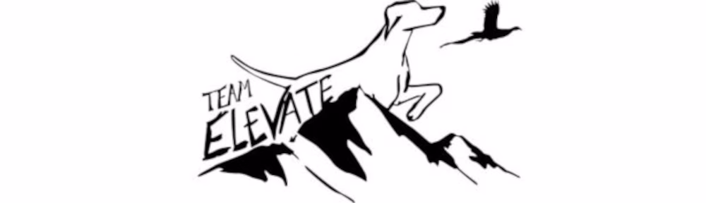 Team Elevate logo. A dog pointing a pheasant over the Rocky Mountains.
